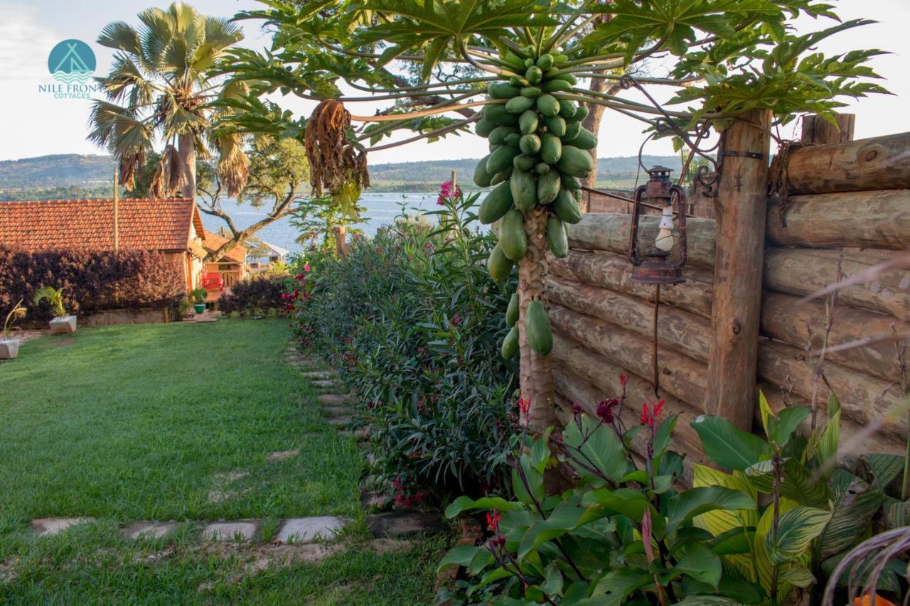 Nile Front Cottages Jinja Buitenkant foto